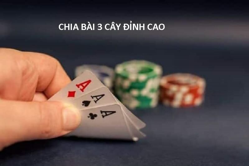 bai-3-cay